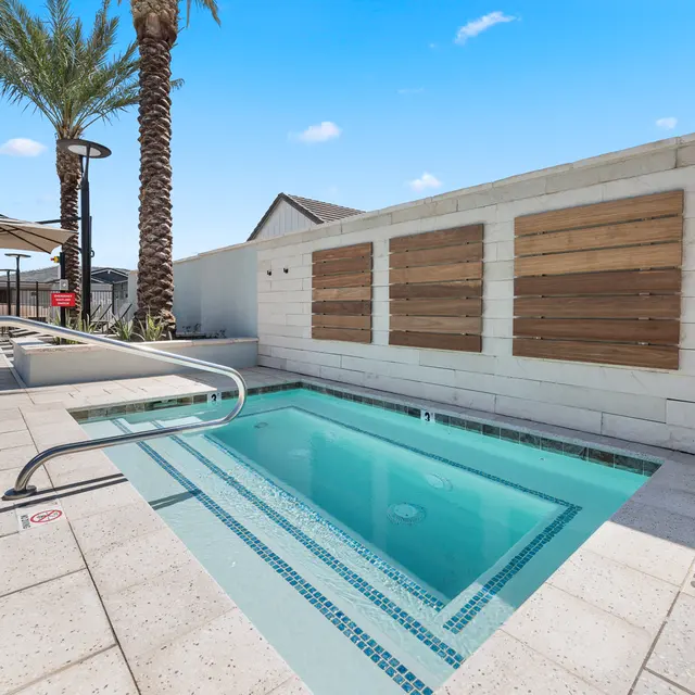 A small, modern pool surrounded by palm trees, with a tile floor and wooden panels on a sunny day.