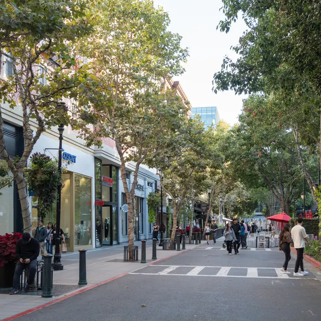 Neighborhood - Alba Santa Clara