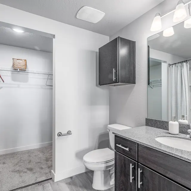 Contemporary Bathroom Interior A modern bathroom featuring a shower area with a curtain, a sink with dark wood cabinetry, a toilet, and an open closet space.