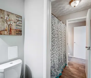 A view of a bathroom showing a toilet, a decorative wall art, and a shower curtain.