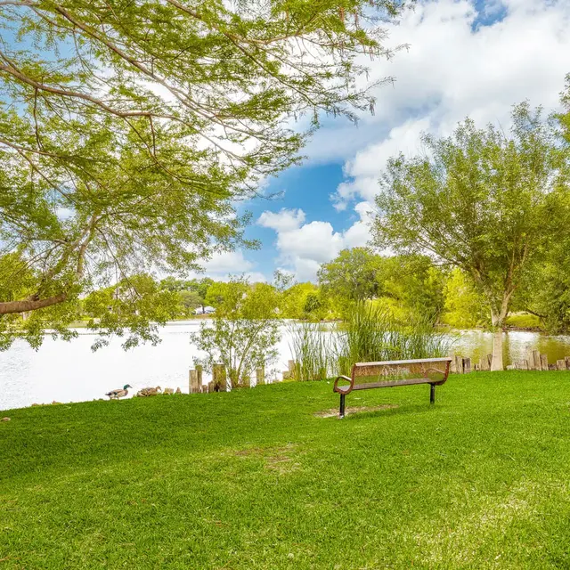 A serene view of a lake with a wooden bench in the foreground, surrounded by lush greenery and trees.