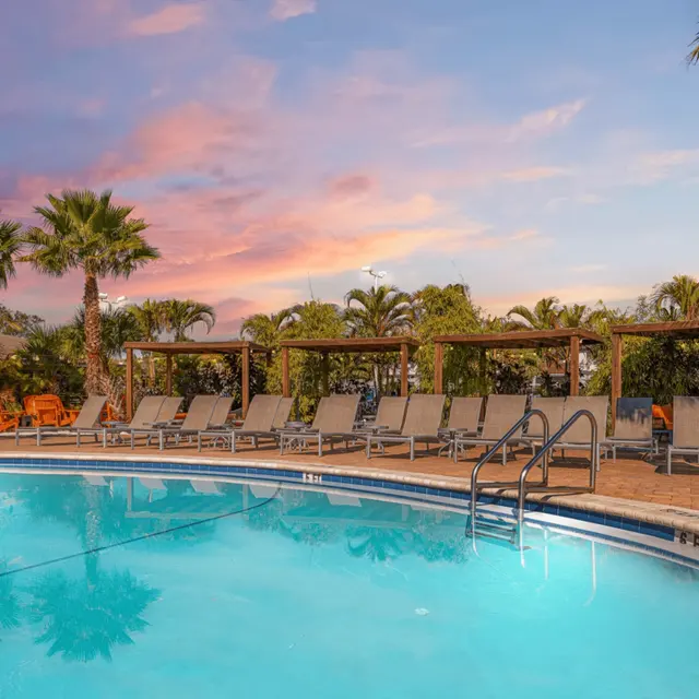 Serene Poolside at Sunset A tranquil swimming pool surrounded by lounge chairs and palm trees, with a colorful sunset in the background.
