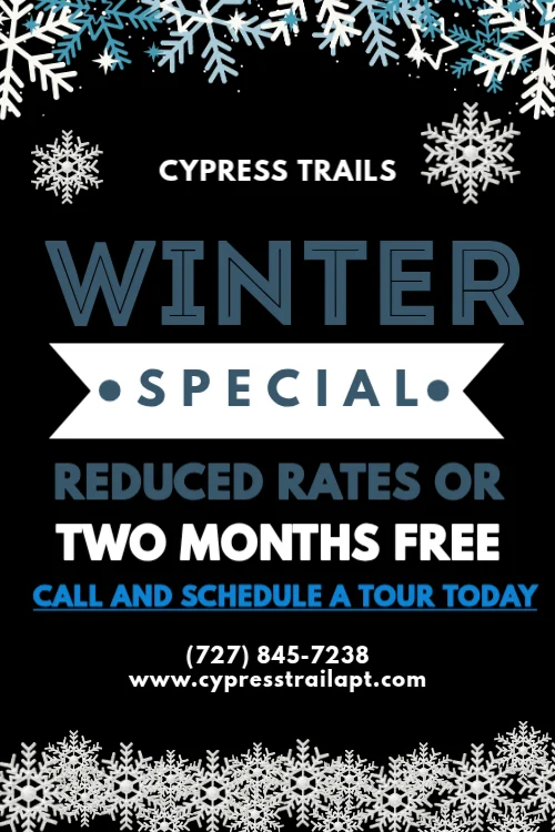 Promotional poster for Cypress Trails featuring a winter theme with snowflakes, announcing a winter special offering reduced rates or two months free. Contact details are included.