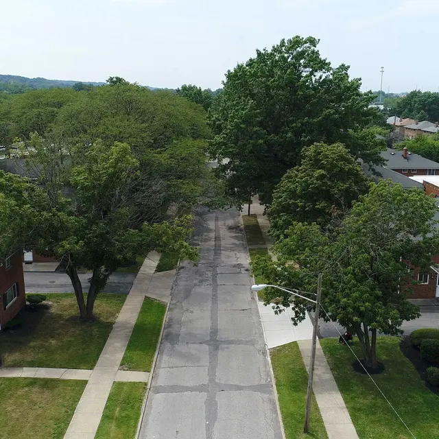 Aerial view of a residential area with trees and buildings lining the streets.