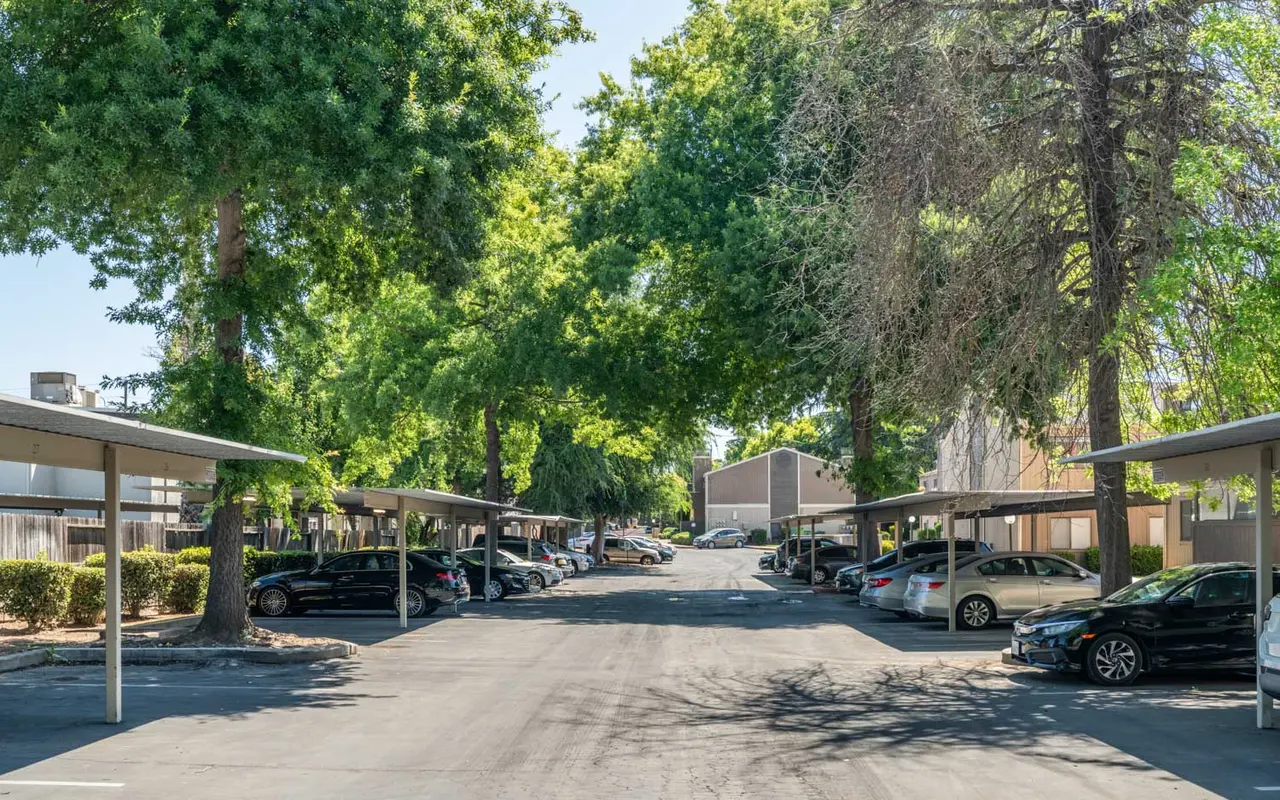 A view of a parking lot shaded by large trees, with parked cars under covered spaces on either side.