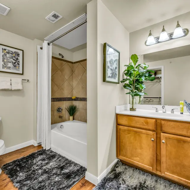 Modern Bathroom Interior Apartment bathroom with a wood vanity and tub-shower combination in South Austin.