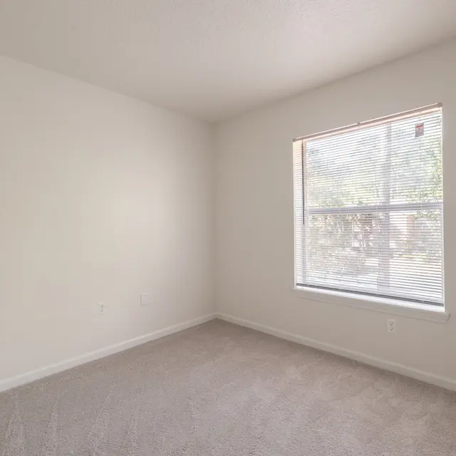 A bright empty room with beige carpet and white walls. There's a window with blinds allowing natural light to fill the space.