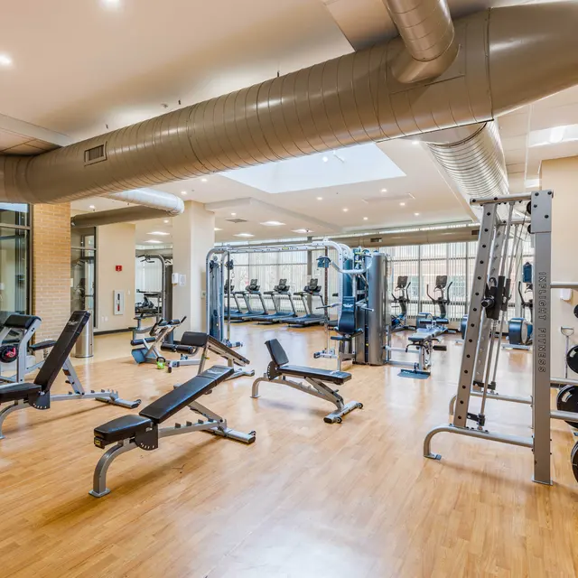 Modern Gym Interior Interior of a modern gym featuring various workout equipment, including benches, free weights, and cardio machines.