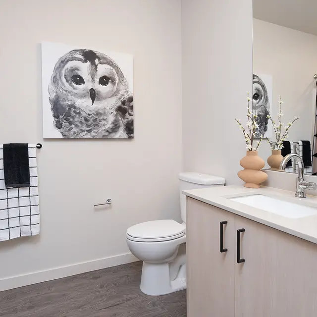 A modern bathroom featuring beige walls, a black and white owl artwork, two hanging towels, a shower curtain with a geometric pattern, and a beige vanity with a sink.