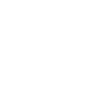 Triumph Apartments logo featuring a stylized 'T' enclosed by decorative elements and the word 'TRIUMPH' above and 'APARTMENTS' below.