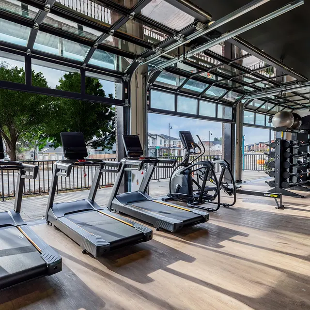 A modern gym with large windows, treadmill machines, and a workout station. Natural light fills the space, creating a bright atmosphere. There are trees visible outside, enhancing the view.