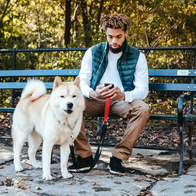 A young man sitting on a park bench with a dog beside him. The man is looking at his phone while the dog stands next to him on a leash.