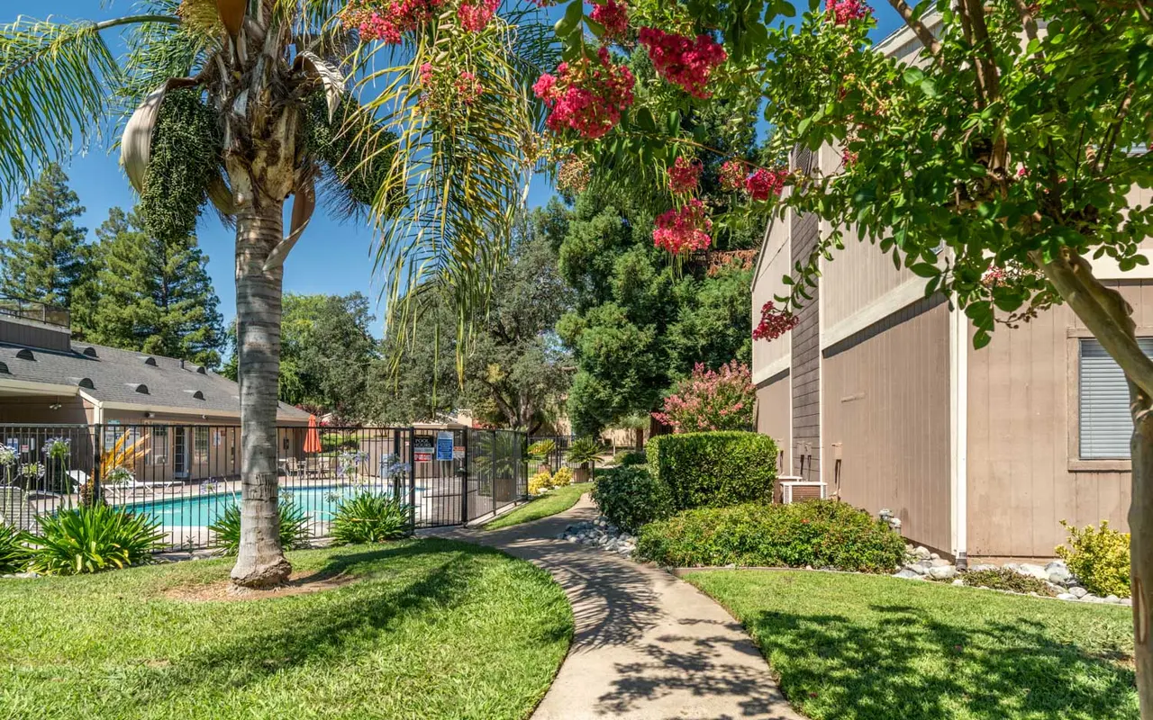 A landscaped pathway leading to a swimming pool area, surrounded by palm trees and lush greenery.