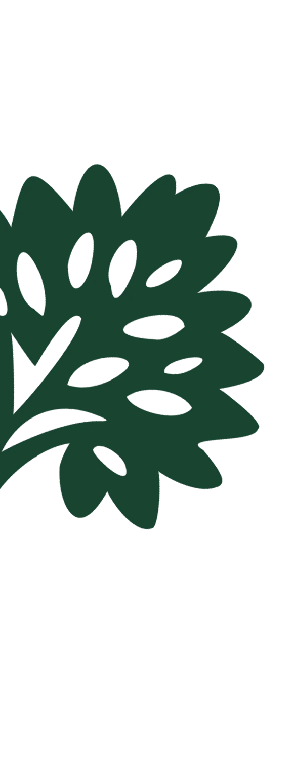 Abstract Tree Illustration An abstract illustration of a tree with leaves, depicted in a dark green color.