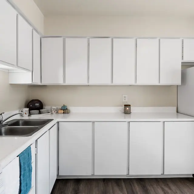 A modern kitchen with white cabinetry and appliances, featuring a double sink and a smooth countertop.