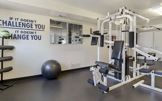 Home gym, Fitness equipment, Exercise