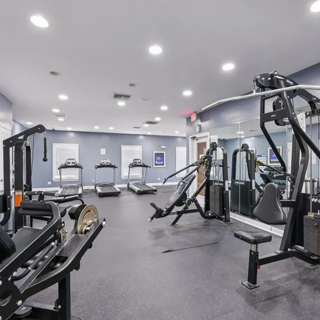 Interior of a modern gym featuring various exercise equipment including treadmills and weight machines, with mirrors on the walls and bright lighting.