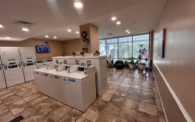 Bright Community Laundry Room A bright and spacious laundry room featuring several washing machines and dryers along the wall, with a seating area and plants near large windows.