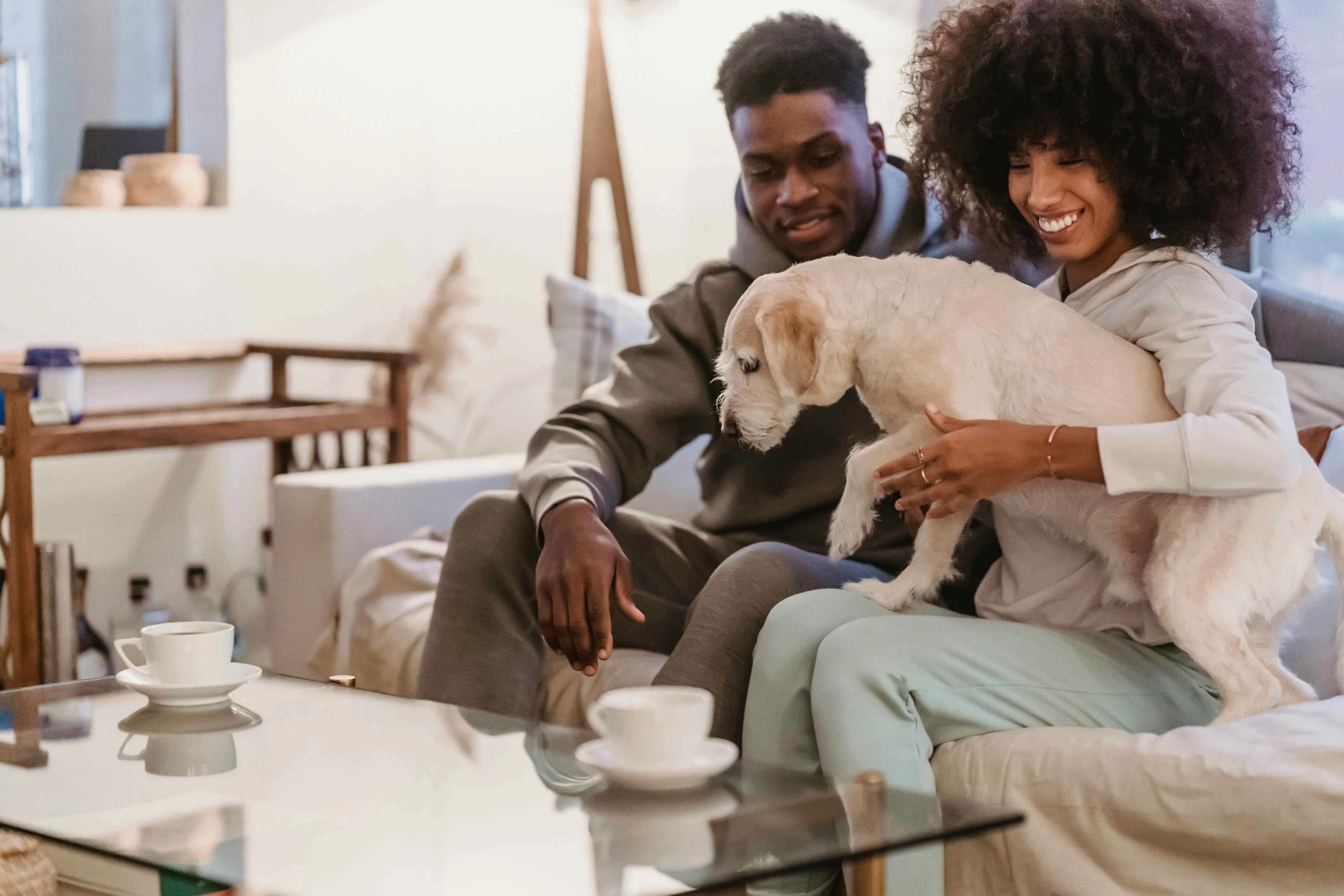 Cozy Living Room Moment with Friends and Dog A man and a woman sitting on a couch in a cozy living room, with the woman holding a small dog. The setting includes a coffee table with two cups, a warm atmosphere, and homey decor.
