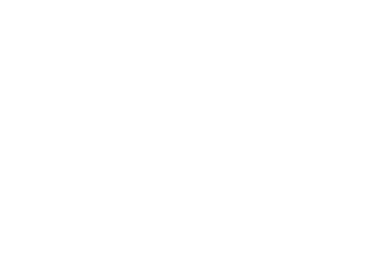 Neurock of Destino