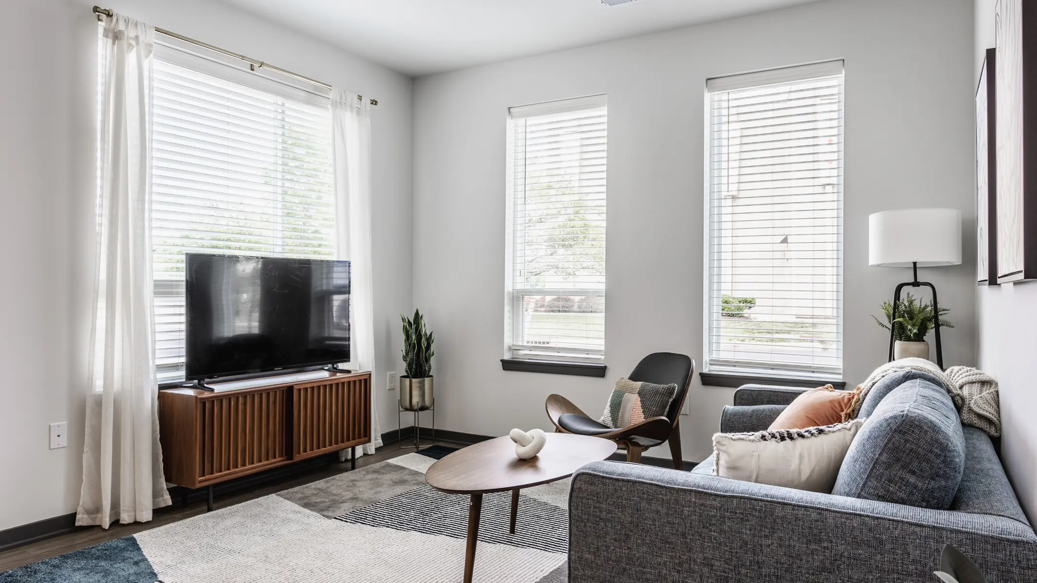 A modern living room featuring a gray sofa, wooden coffee table, and a television stand with a flat-screen TV. Natural light streams through two window blinds. A potted plant is visible beside the sofa.