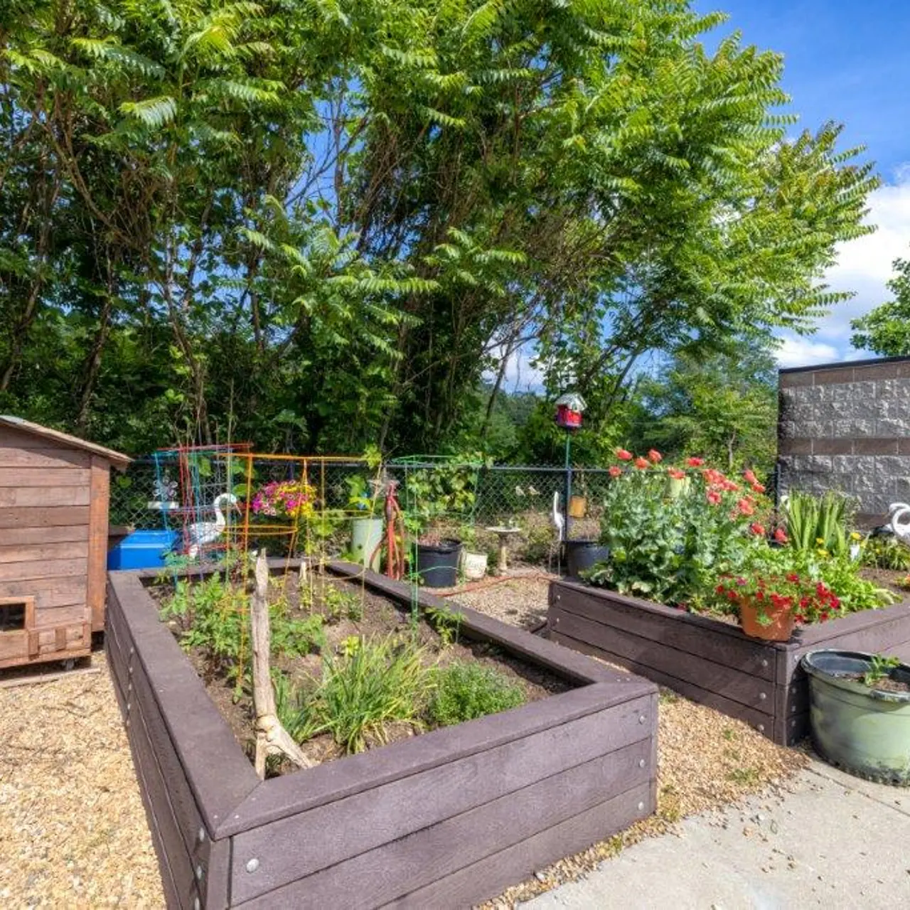 A well-maintained garden featuring raised wooden plant beds filled with various plants and flowers. There is a wooden shed in the corner and decorative elements including a flamingo statue. Lush greenery surrounds the area, with blue skies partially visible.