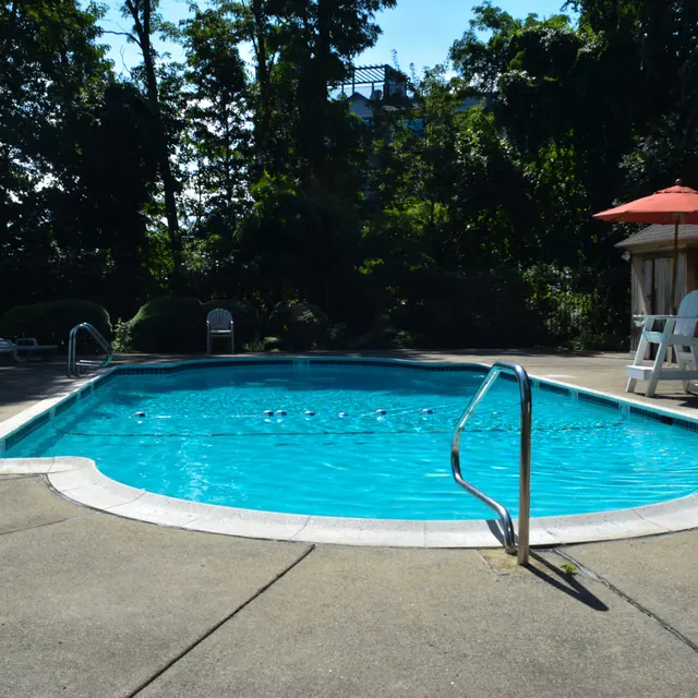 Bright blue swimming pool surrounded by concrete, with lounge chairs and an umbrella nearby. Lush greenery in the background.