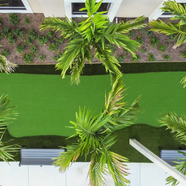 An aerial view of a mini-golf green surrounded by palm trees and bushes.