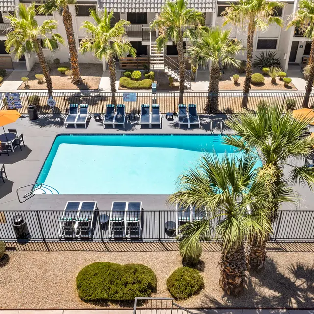 Aerial view of a swimming pool surrounded by lounge chairs and umbrellas, palm trees in the background.