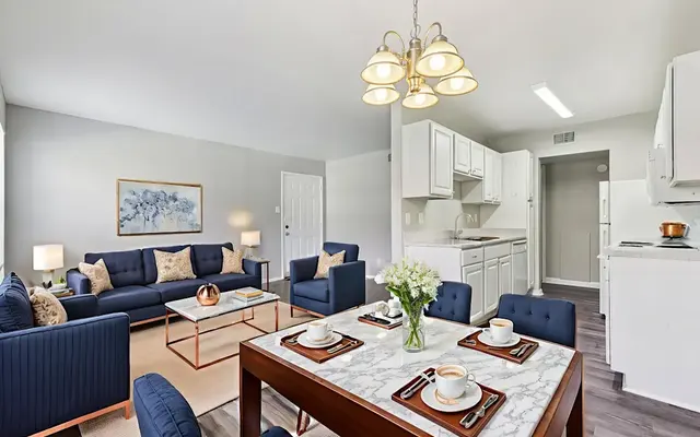 Chic Modern Living Room and Dining Area A modern living room and dining area featuring navy blue sofas, a dining table with dishes, and an open kitchen.