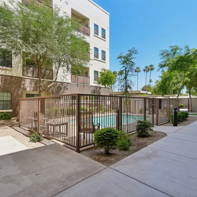 Apartment Complex Pool Area A view of a courtyard in an apartment complex featuring a fenced pool area, surrounded by green landscaping and palm trees.
