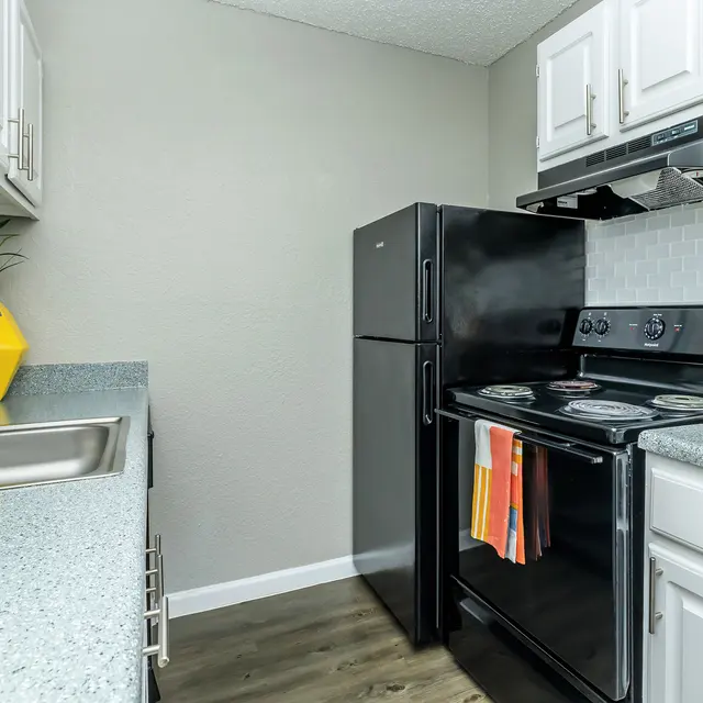 A modern kitchen featuring a black refrigerator, a black stove, white cabinets, and a gray countertop. There is a small plant and a yellow vase on the counter, adding a touch of color.