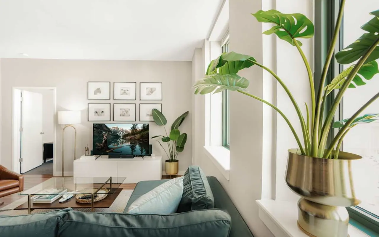 A modern living room featuring a green sofa, a television on a white console, and framed artwork on the walls. A large plant is placed on the windowsill, adding a touch of greenery to the space.