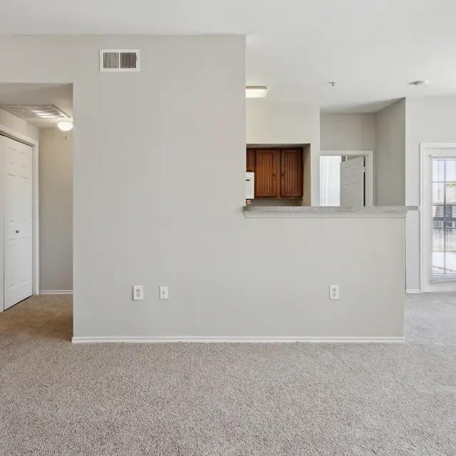 Spacious, light-filled room with beige carpet, neutral walls, and an open layout connecting the kitchen and living area.