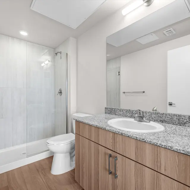 A modern bathroom featuring a glass shower, a sink with a granite countertop, and wooden cabinetry.