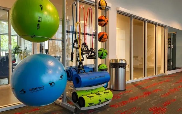 A variety of training equipment including exercise balls, resistance bands, and yoga mats arranged in a gym setting.