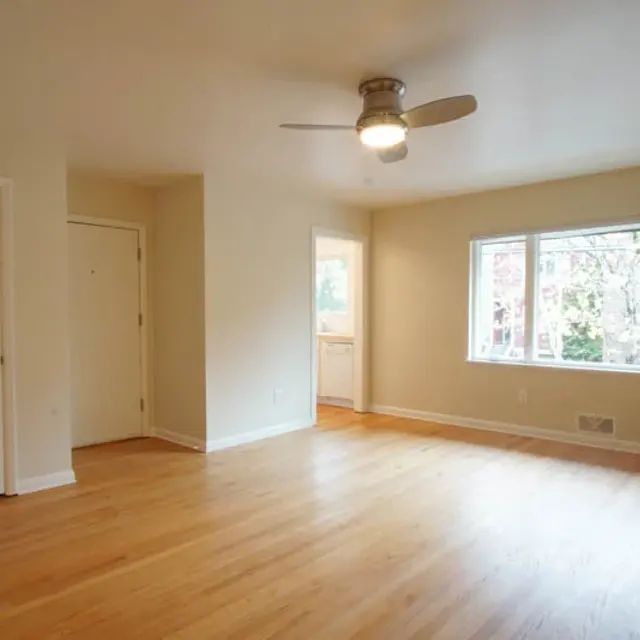 A bright and spacious living room with light hardwood floors, a ceiling fan, and large windows offering a view of greenery outside.