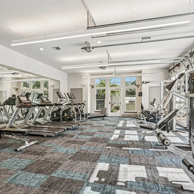 Modern Gym Interior A modern gym interior featuring exercise equipment, large mirrors, and windows that allow natural light to enter.