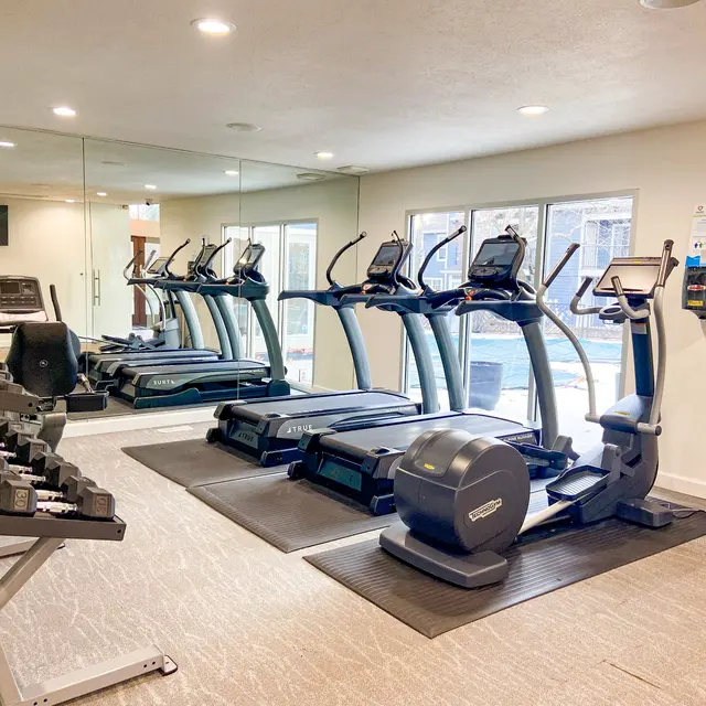 Interior view of a gym with cardio machines and free weights