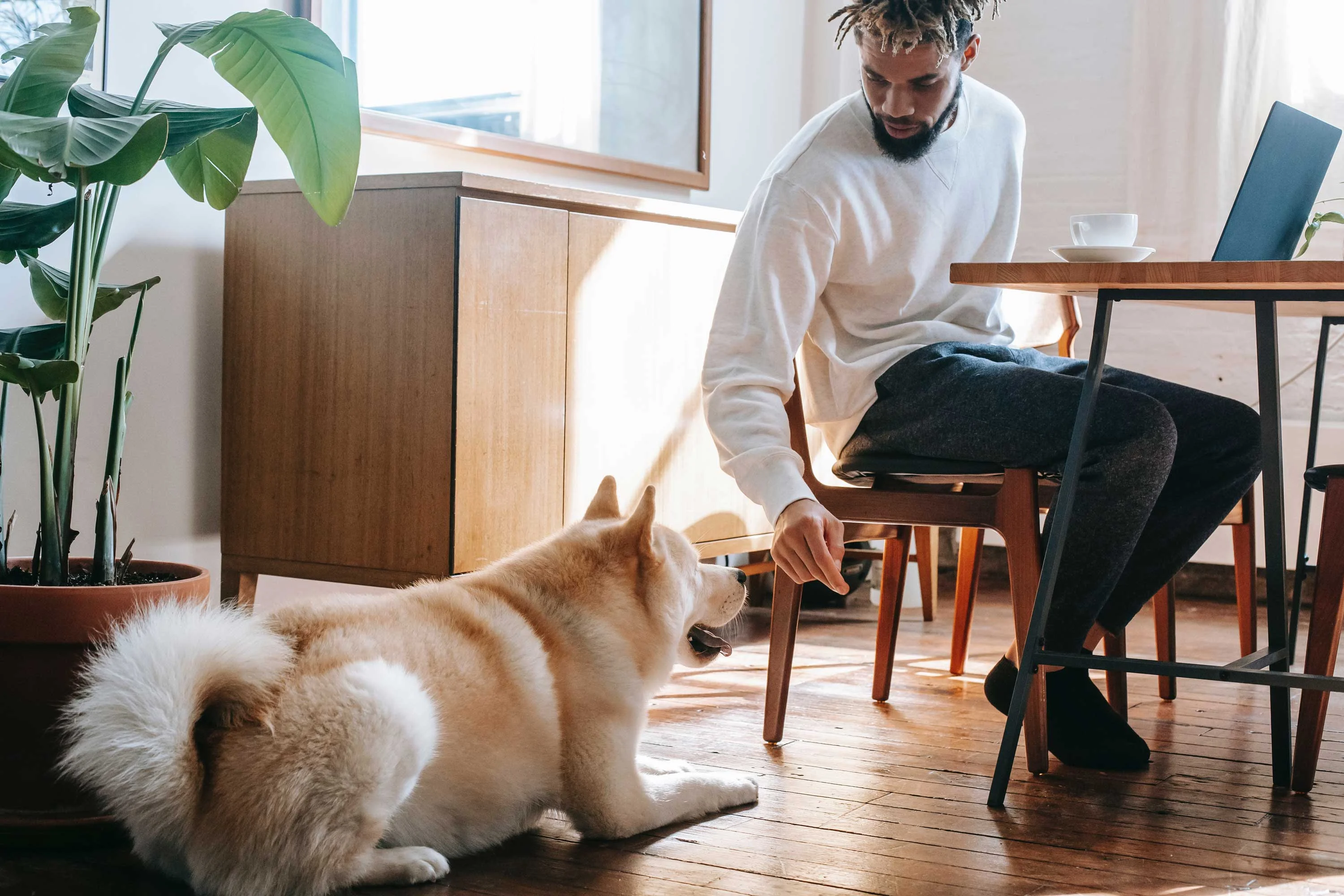 Cozy Apartment Moments with Pets A man sitting at a wooden table in an apartment reaching out to a dog on the floor, surrounded by plants.