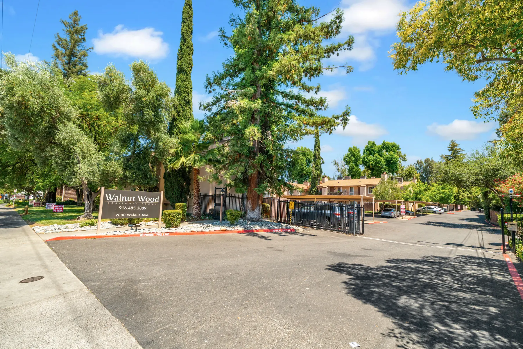 Entrance of Walnut Wood apartments with trees and blue sky