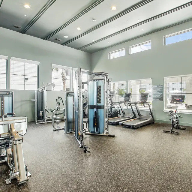 Modern gym with various exercise machines, cardio equipment, and large windows providing natural light.