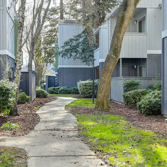 A landscaped pathway winding through an apartment complex, flanked by bushes and trees, with gray buildings in the background.