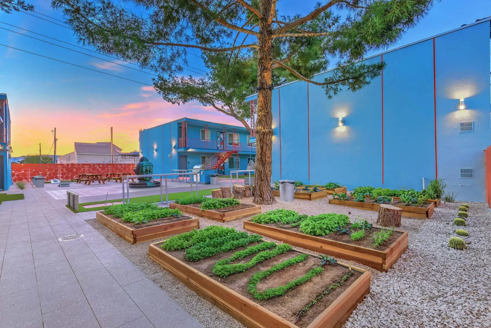 Community Garden at Sunset A community garden with raised bed planters filled with greenery, a tree in the center, and colorful buildings in the background at sunset.