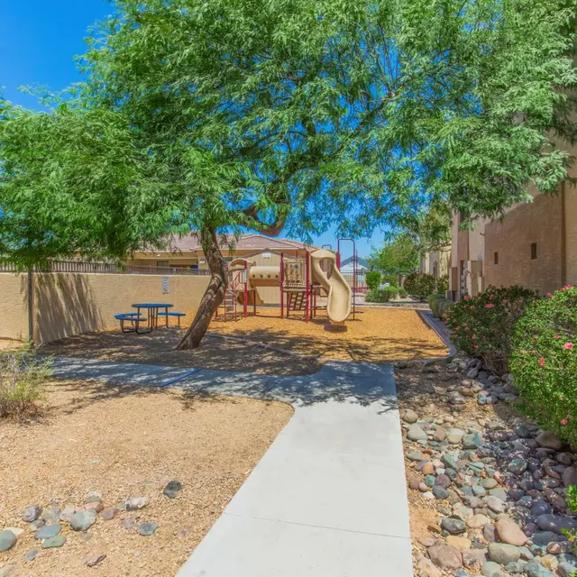Community Playground in Sunny Environment A sunny playground area featuring a slide, surrounded by a grass-free yard with bushes and trees.