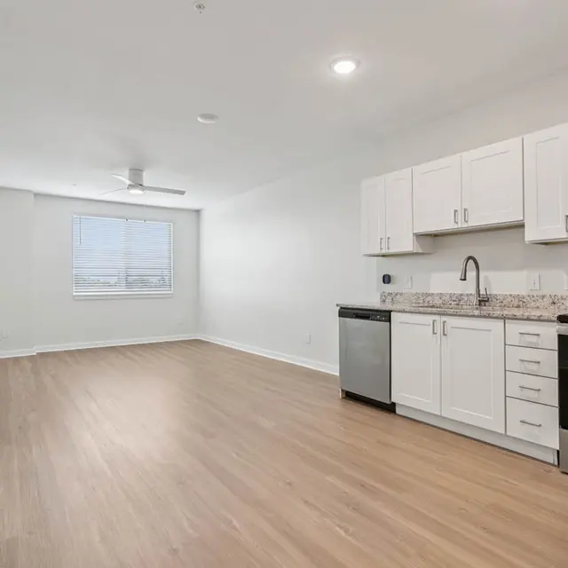 Open Concept Kitchen & Living Room