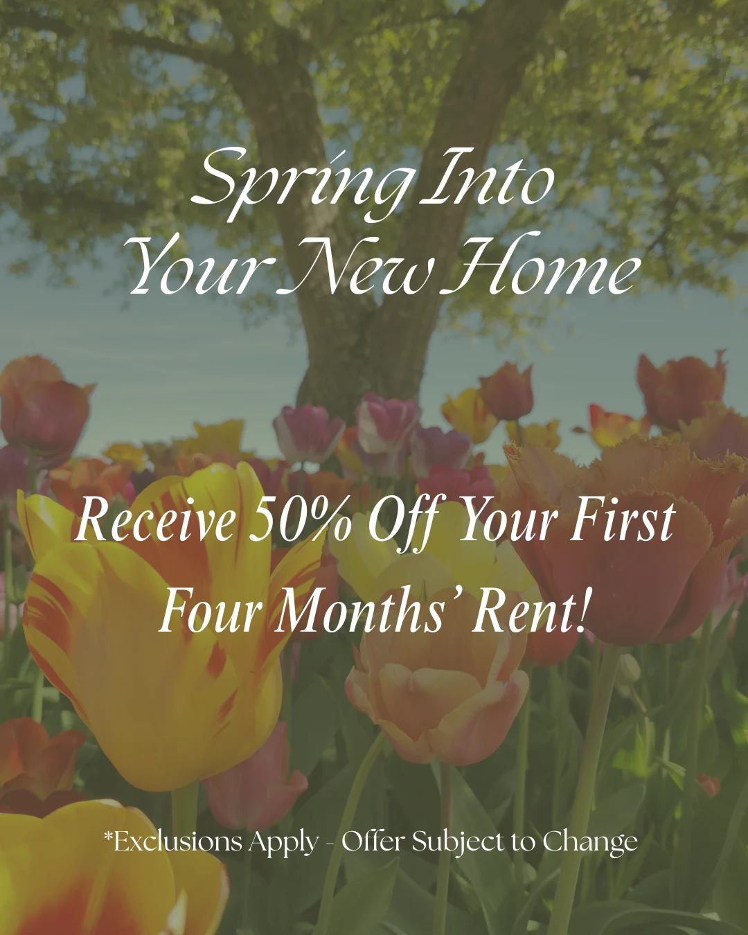 A promotional flyer featuring colorful tulips and a tree, announcing a rental discount.