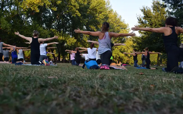 A group of people participating in an outdoor yoga session, stretching with arms extended in a park setting. The scene shows various individuals in exercise attire, practicing yoga on mats spread across a grassy area under trees.