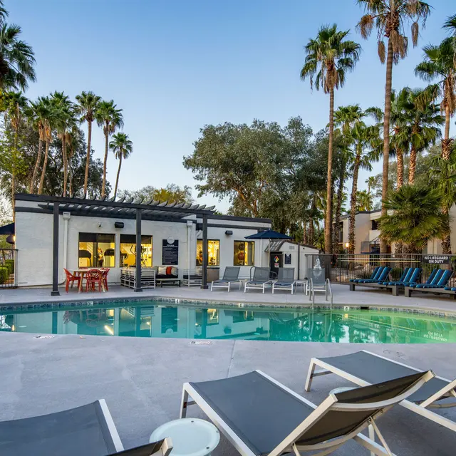 A tranquil pool area surrounded by palm trees, featuring lounge chairs and a modern building with large windows.