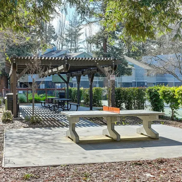 A sunny park area featuring a pergola, picnic table, and lush greenery.